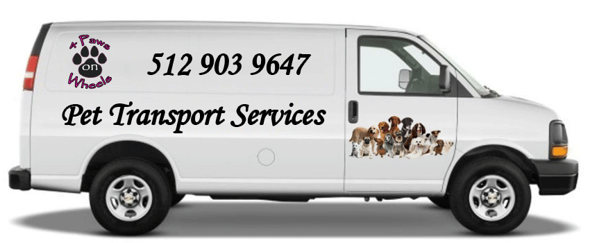 Pet Transportation Van